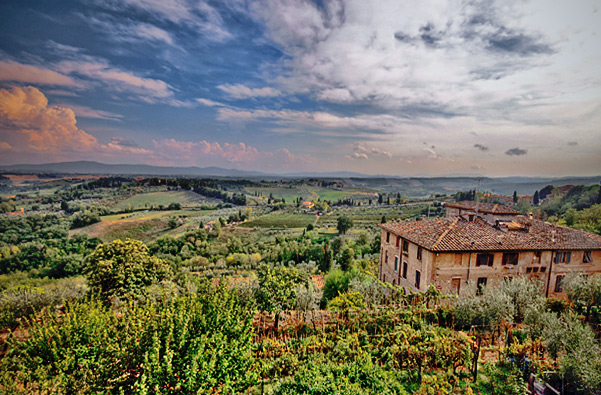 LADYHAWKE-SIENA-TM.jpg