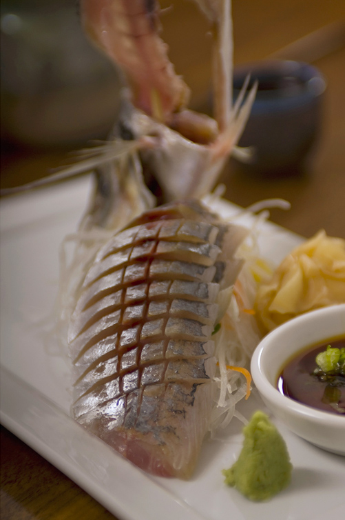 pawdrix-fishplate.jpg