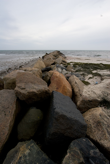 IMG_6856-raw.jpg