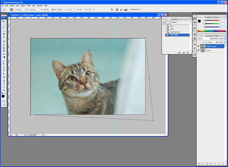 dassilem-kitty.jpg