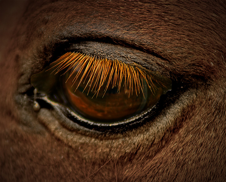 soulman-eyeball.jpg