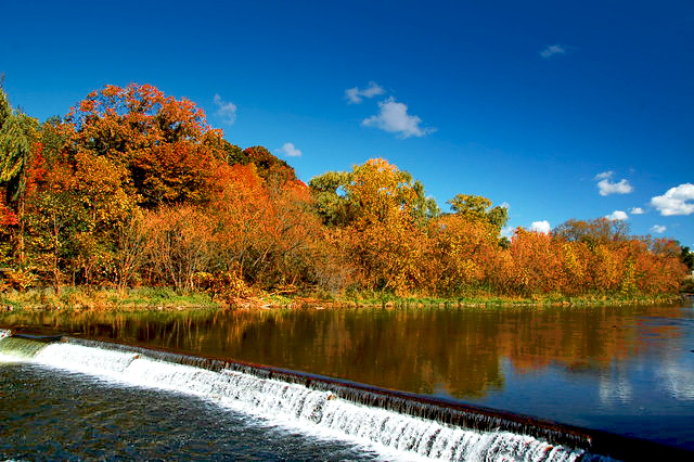 shutter-stream.jpg