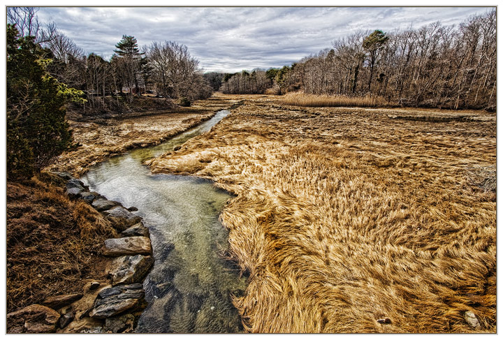 Winter Thaw