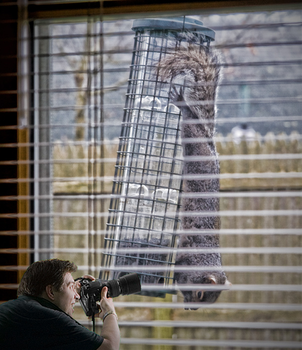 Slippy & the GIant Squirrel — The stuff of which nightmares are born.