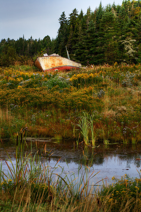 IMG_0866_4_5-beached-shippy.jpg