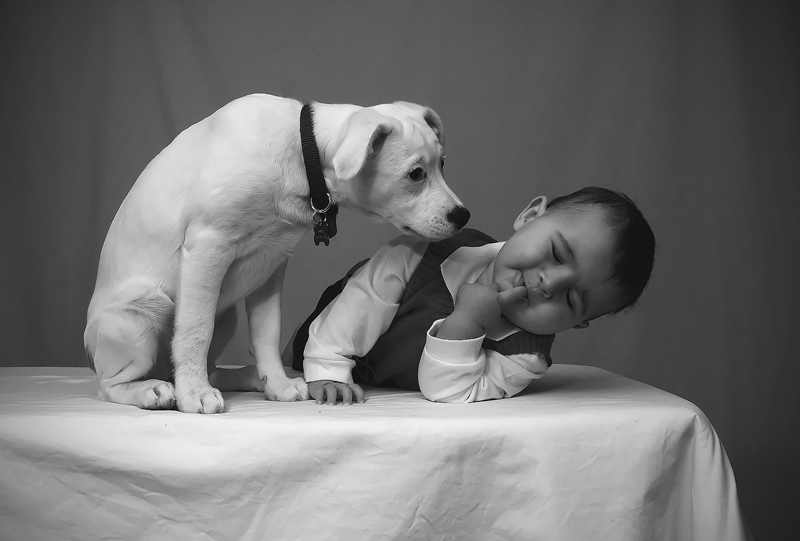 eva-cutepup.jpg