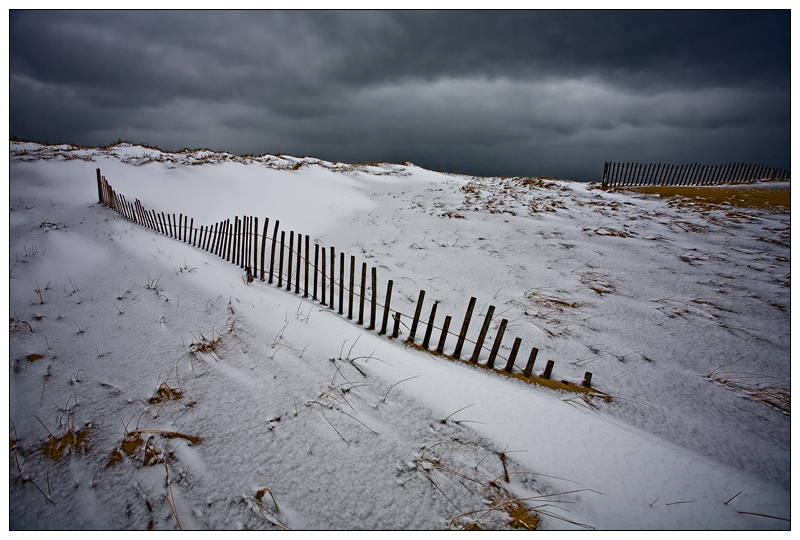 IMG_3395-2fencediagonal.jpg