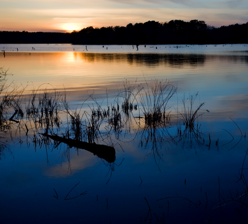 IMG_3715-crop-2b