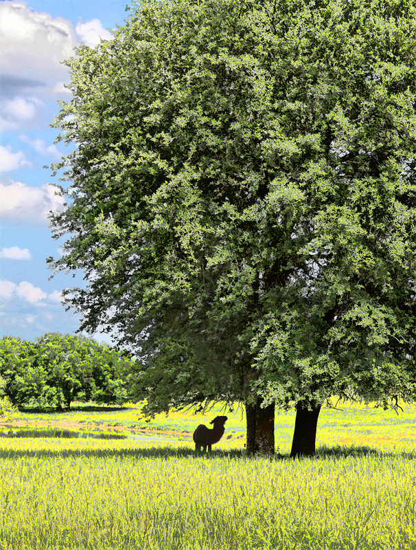 tree-llama