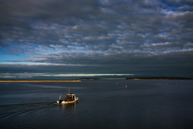 IMG_4541-wellfleet-great-island