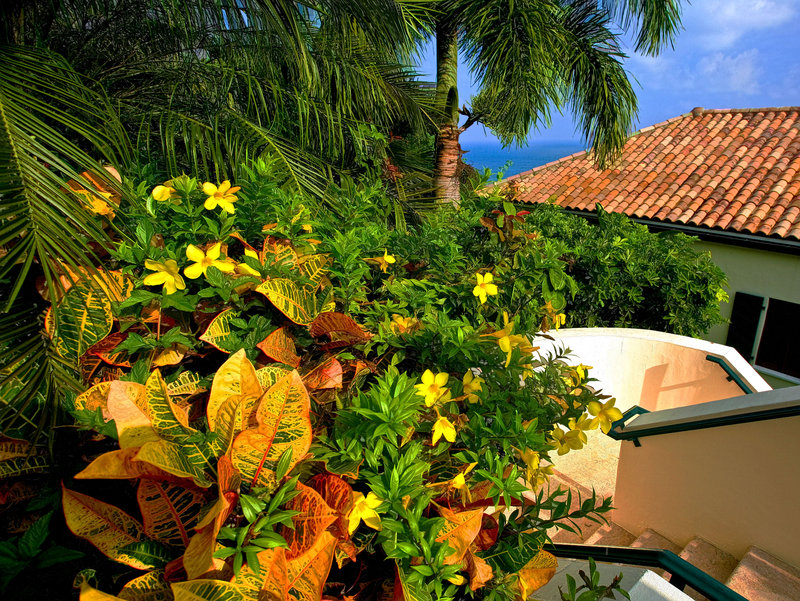 IMG_5832 stair foliage