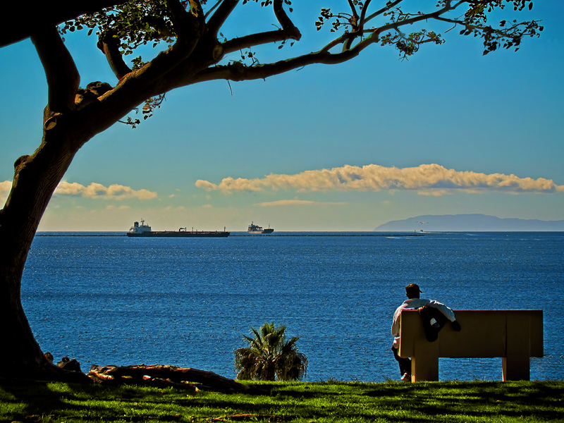 Pet-Rock-Park-Bench