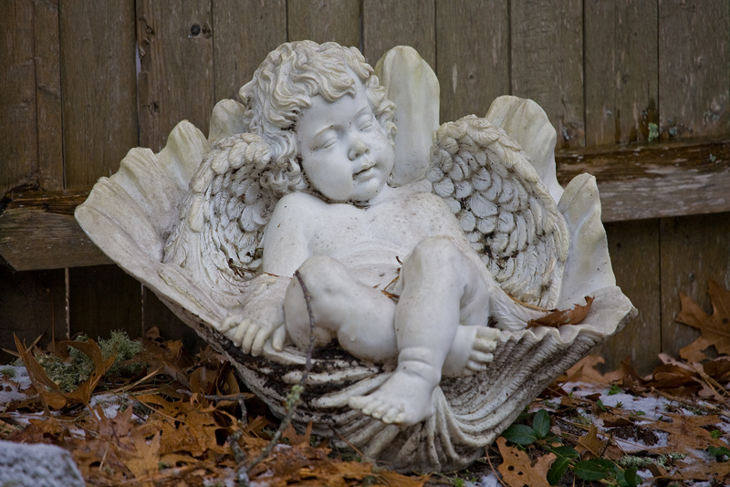 Cherub