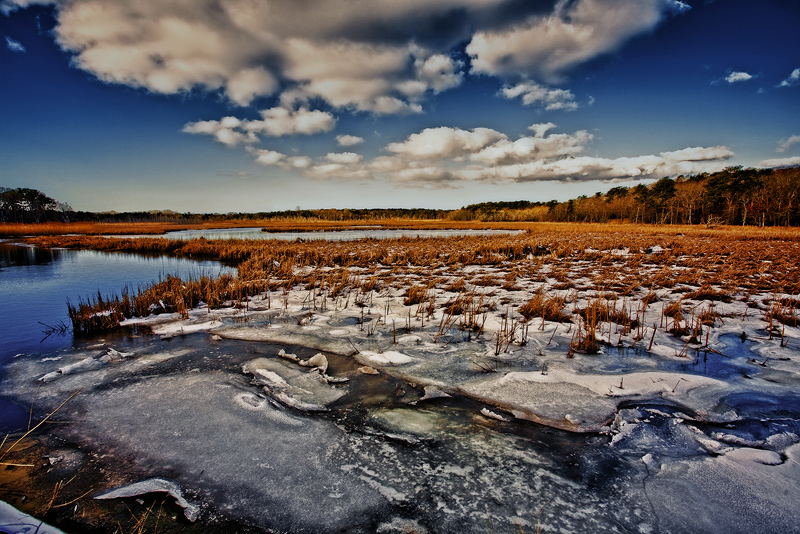 IMG_7605-icy-marsh