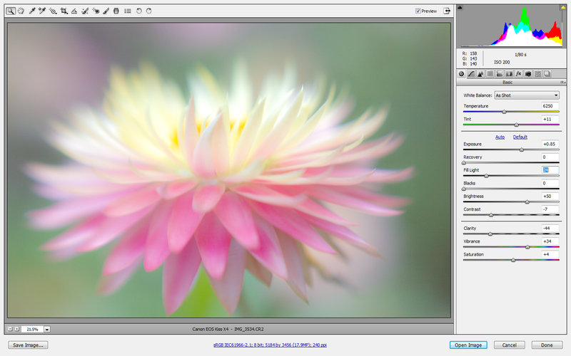 MaragretN flower raw