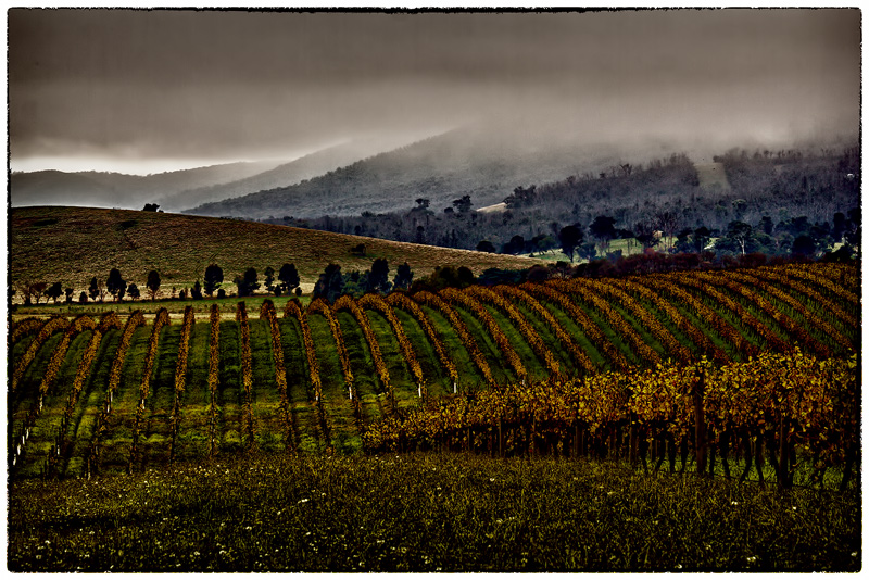 Margaret-Yarra-IMG_5110