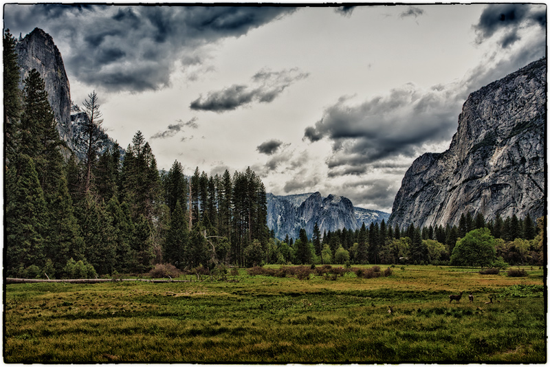 Yosemite Valley  Meadow, Monoliths, Deer