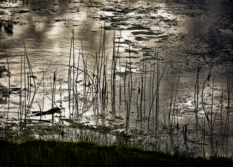 On Platinum Pond