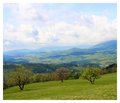 A Meadow in Jeseniky Mountains