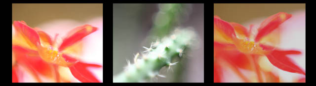 Through inverted lens