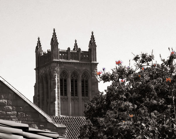 Tropical Gothic reedit