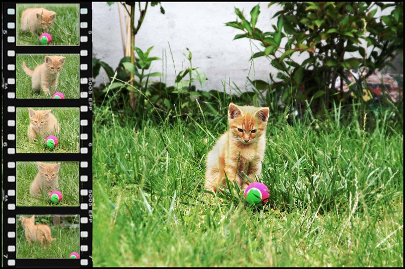 A Curious Ball