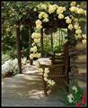 A Place to Rest