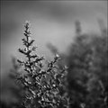 ' . substr('//images.dpchallenge.com/images_portfolio/30000-34999/30982/120/596023.jpg', strrpos('//images.dpchallenge.com/images_portfolio/30000-34999/30982/120/596023.jpg', '/') + 1) . '