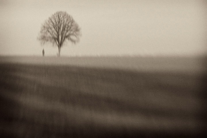 Tree and guy