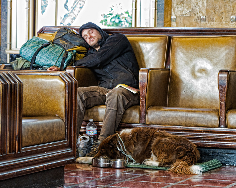Companions