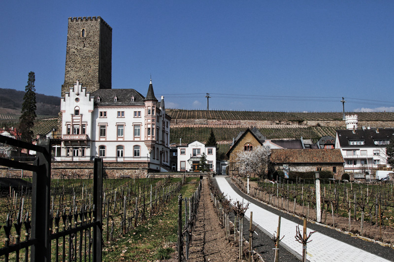 Rüdesheim