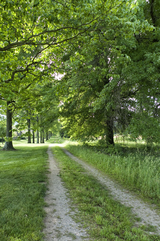 Path