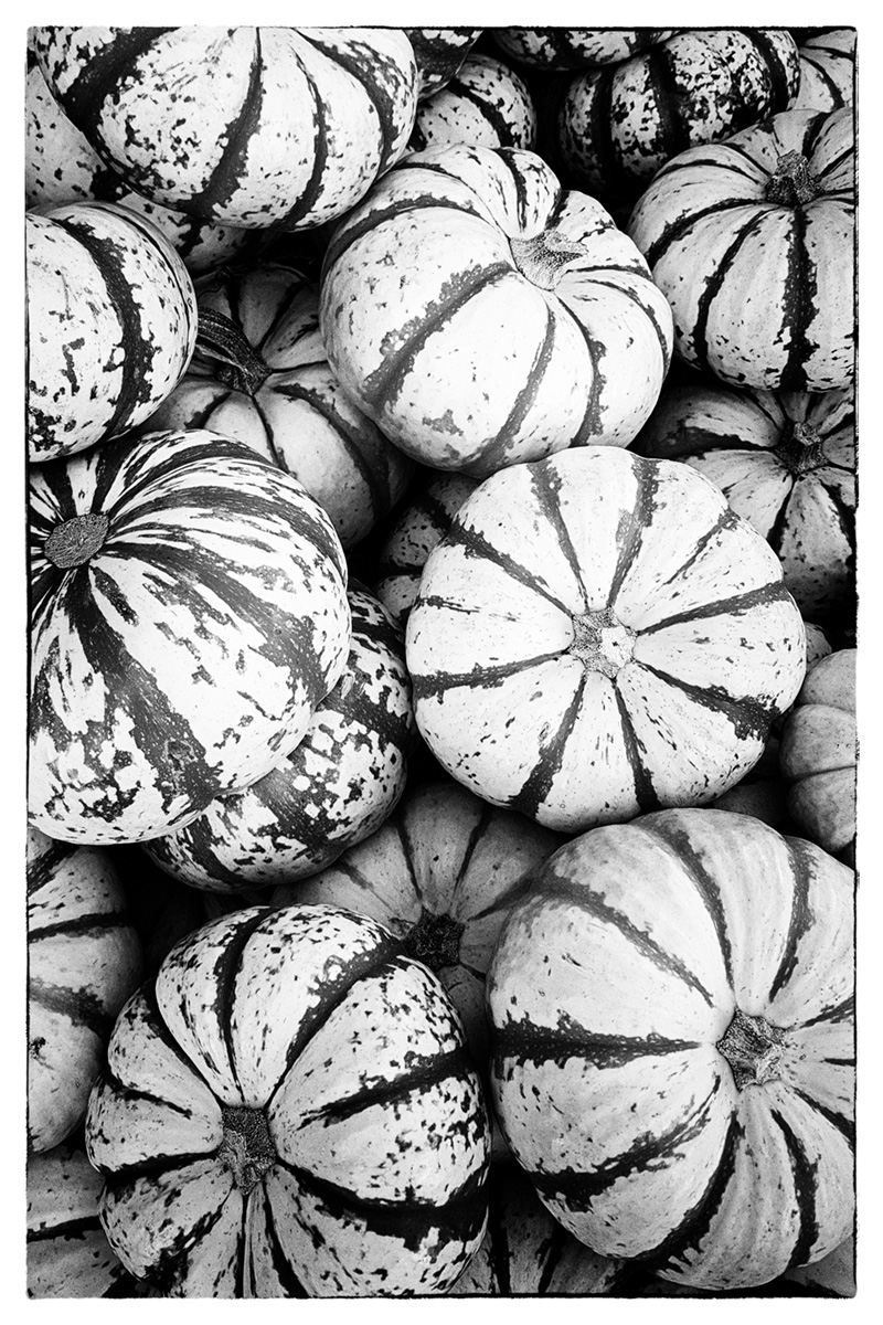 Pumpkins mono