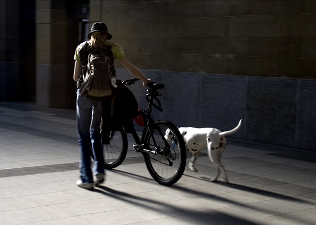 Girl bike dog