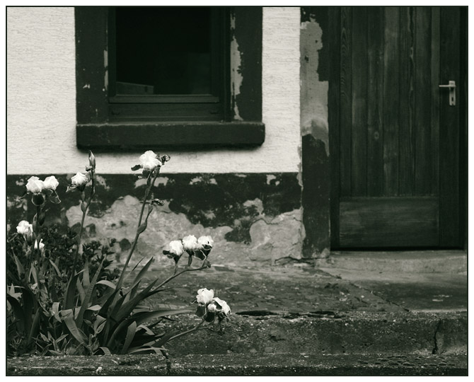 Door and flowers