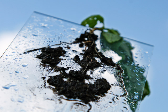 Flat Earth Society Gardening Techniques