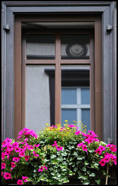 Window with flower box