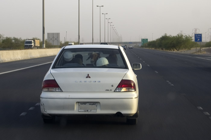 Traveling with pets