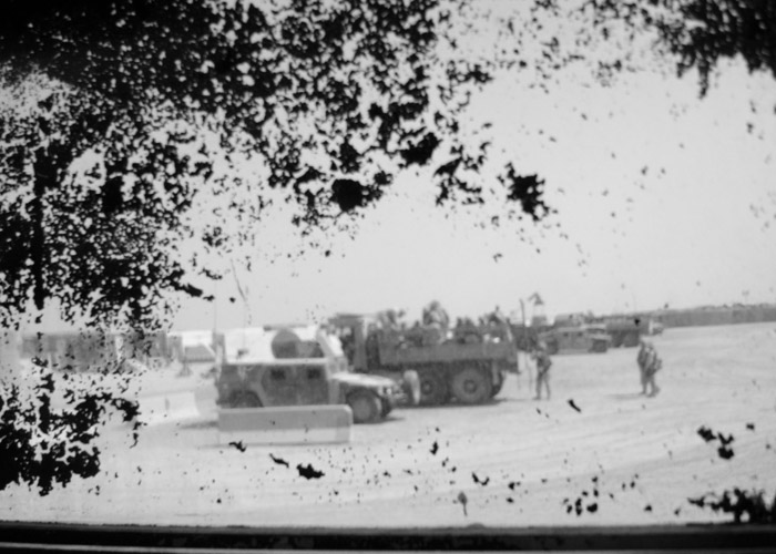 Window view
