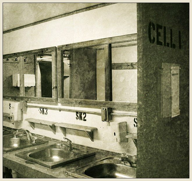 Cell 1