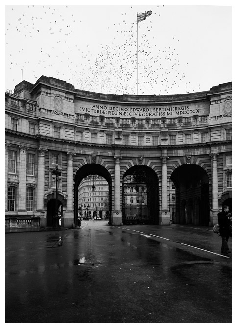 Balloons over arches