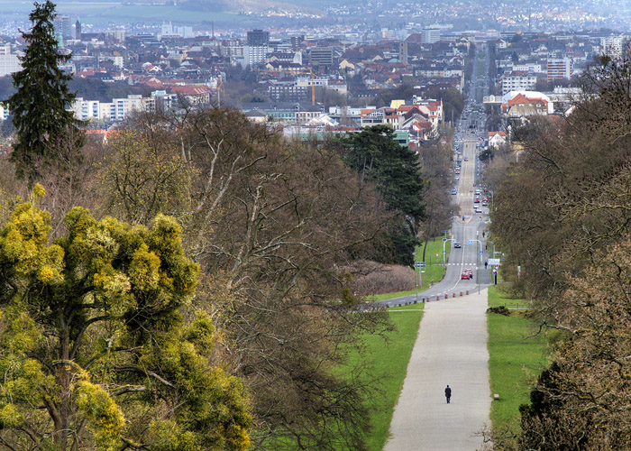 Kassel view