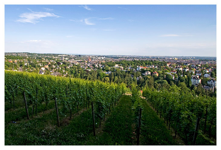 Wiesbaden view