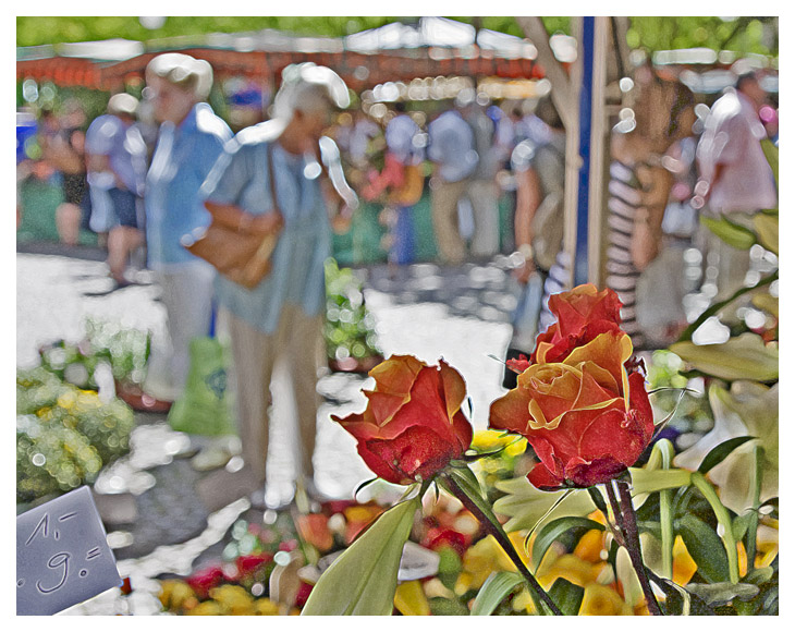Roses at market