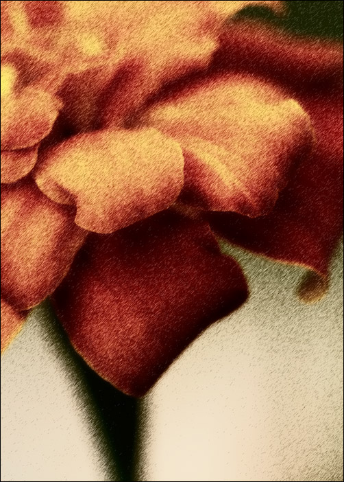 Marigold edited