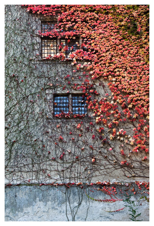 New Schloss wall