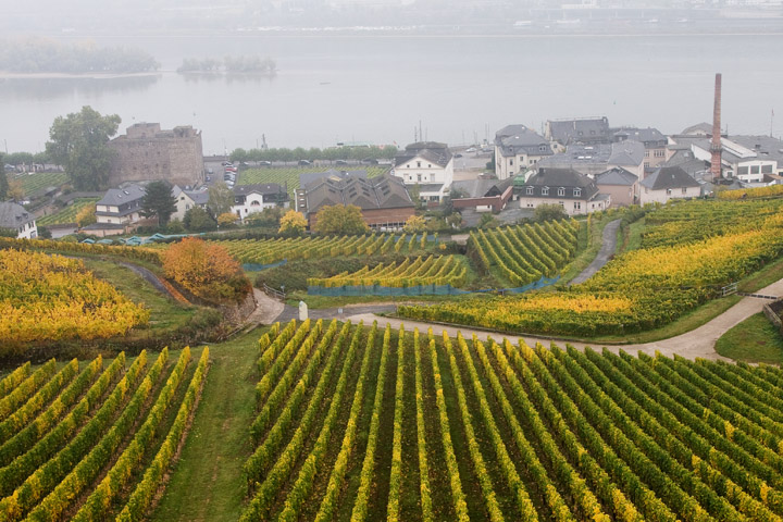 Rüdesheim am Rhein