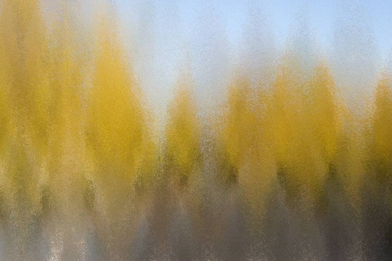 Window 1.jpg