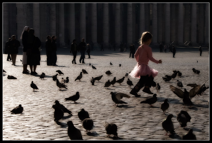 Dancing with pigeons