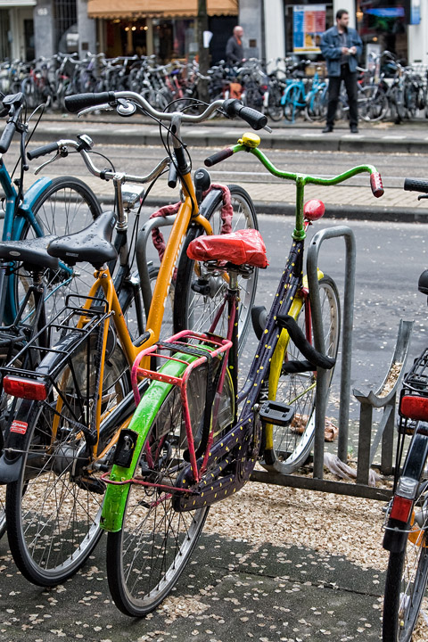 Bikes 7884